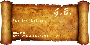 Galló Bálint névjegykártya
